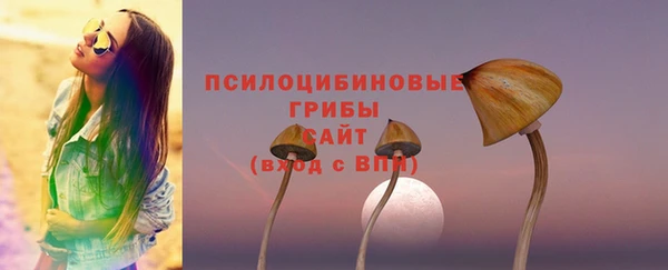 PSILOCYBIN Медногорск
