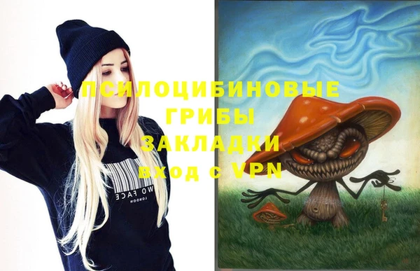 PSILOCYBIN Медногорск