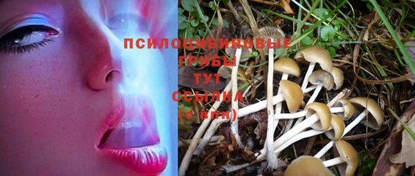 бутик Новодвинск