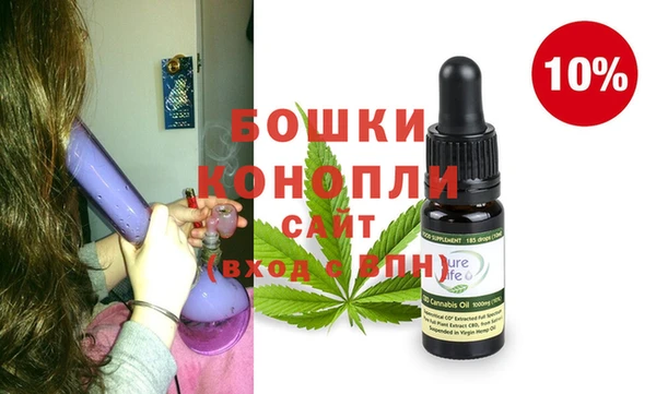 гидра Мегион