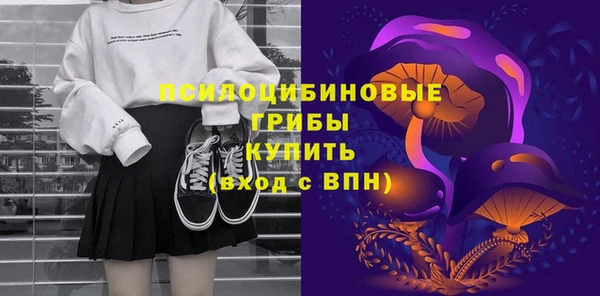 гидра Мегион