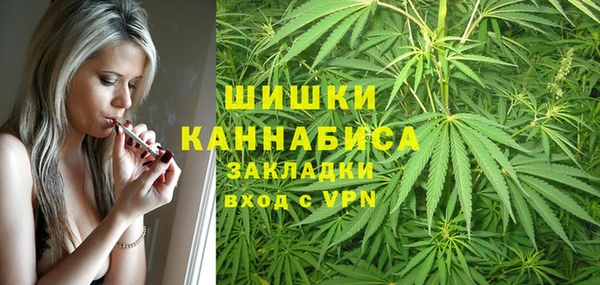 гидра Мегион