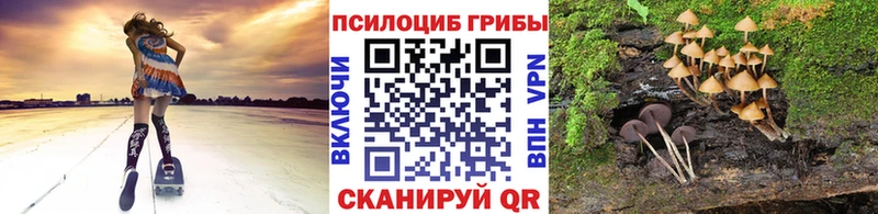 мега как зайти  это официальный сайт  Аксай  Псилоцибиновые грибы прущие грибы  купить закладку 